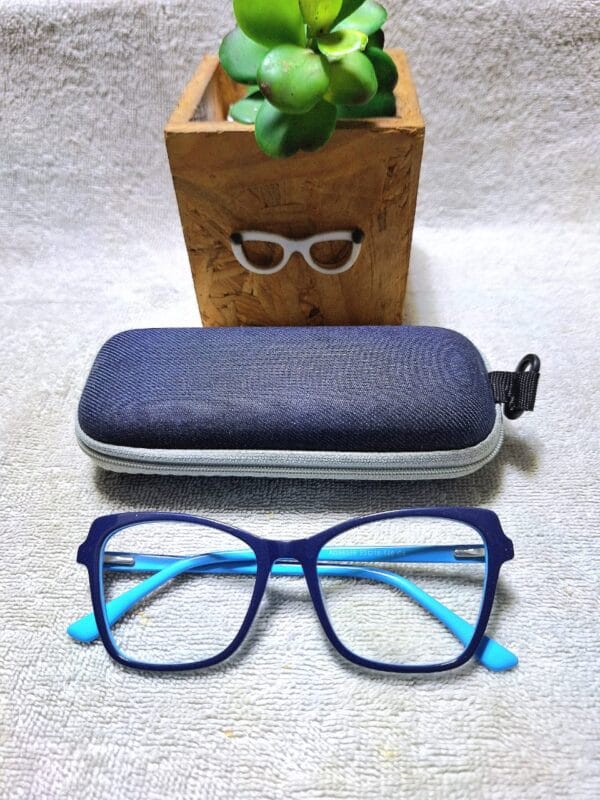 Unisex Plastic Readers