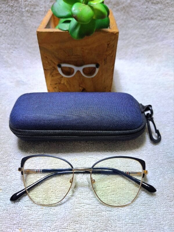 female metal frame readers