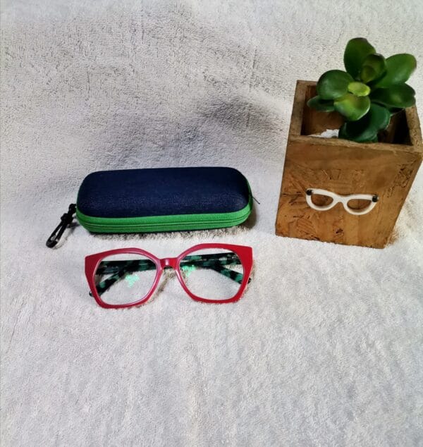 Female Plastic Reader