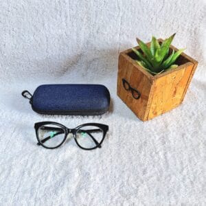Bifocal Photochromic Glasses