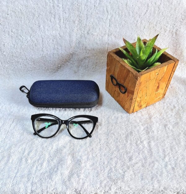 Bifocal Photochromic Glasses