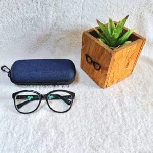 Bifocal Photochromic Glasses