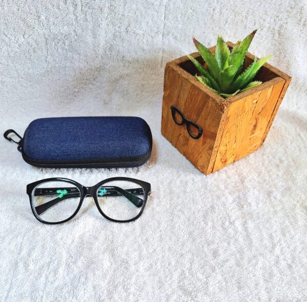 Bifocal Photochromic Glasses