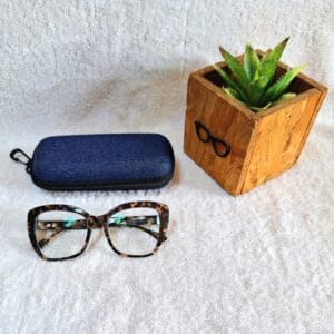 Bifocal Photochromic Glasses