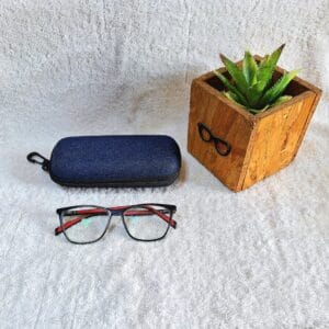 Bifocal Photochromic Glasses