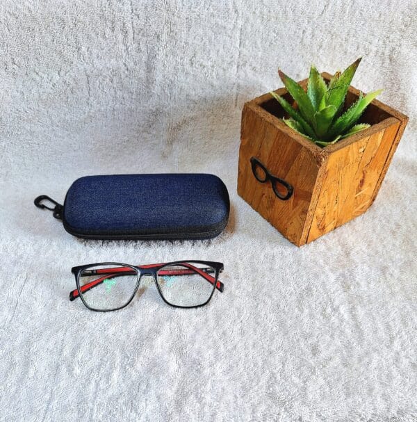 Bifocal Photochromic Glasses