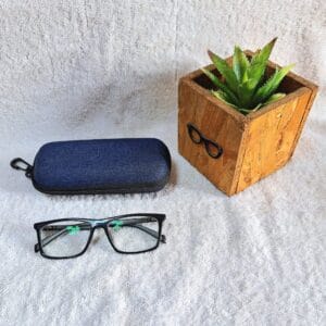Bifocal Photochromic Glasses