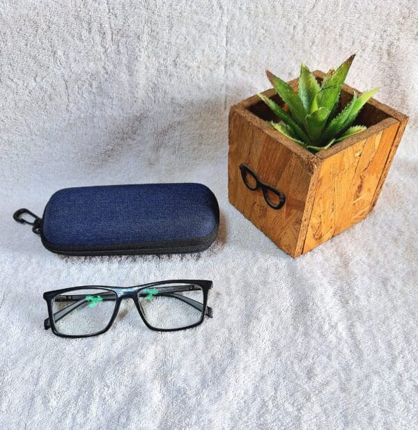 Bifocal Photochromic Glasses
