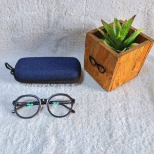 Bifocal Photochromic Glasses