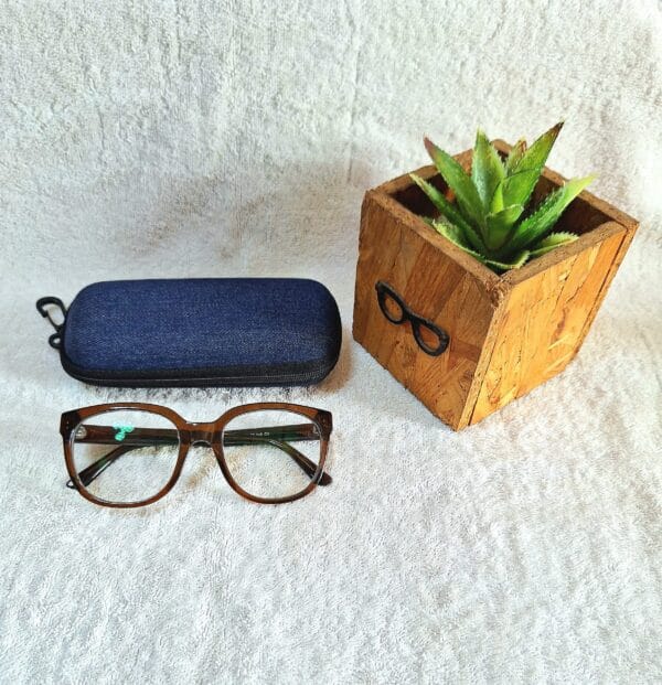 Bifocal Photochromic Glasses