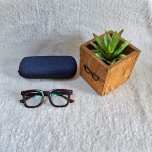 Bifocal Photochromic Glasses