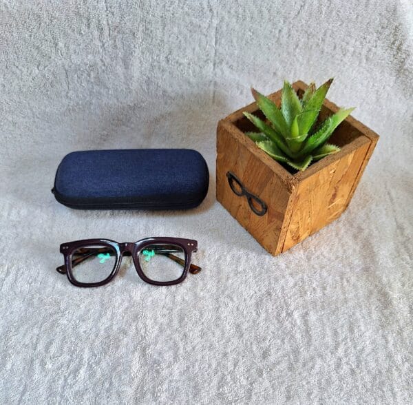 Bifocal Photochromic Glasses