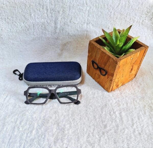 Bifocal Photochromic Glasses