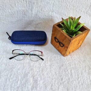 Bifocal Photochromic Glasses