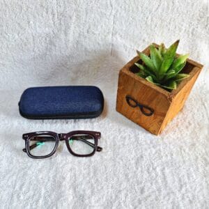 Bifocal Photochromic Glasses