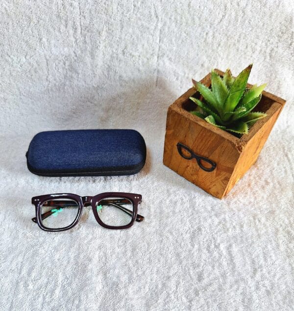 Bifocal Photochromic Glasses