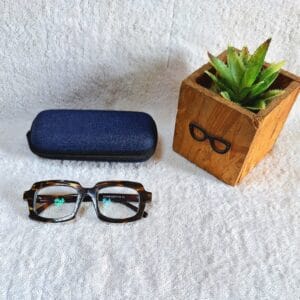 Bifocal Photochromic Glasses