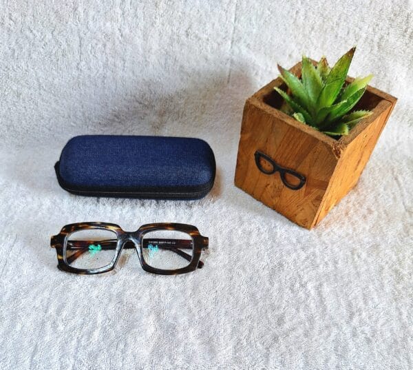Bifocal Photochromic Glasses