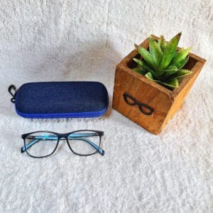 Bifocal Photochromic Glasses