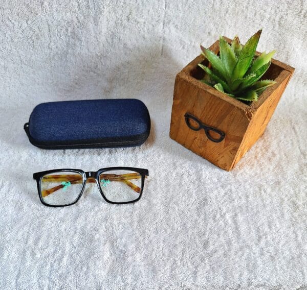 Bifocal Photochromic Glasses
