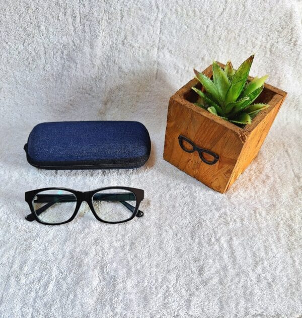 Bifocal Photochromic Glasses