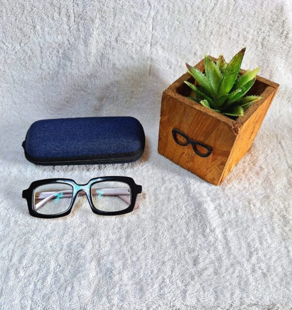 Bifocal Photochromic Glasses