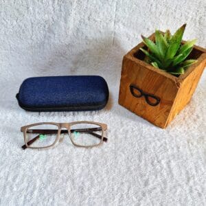 Bifocal Photochromic Glasses