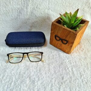 Bifocal Photochromic Glasses