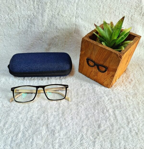 Bifocal Photochromic Glasses