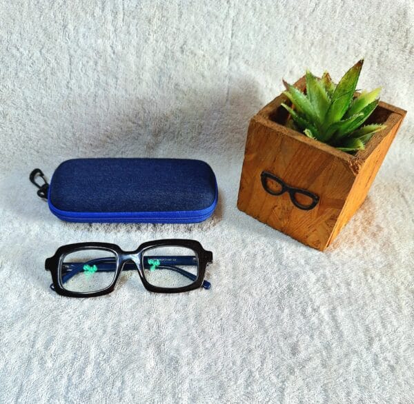Bifocal Photochromic Glasses