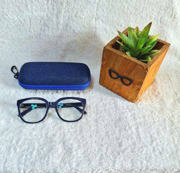 Bifocal Photochromic Glasses