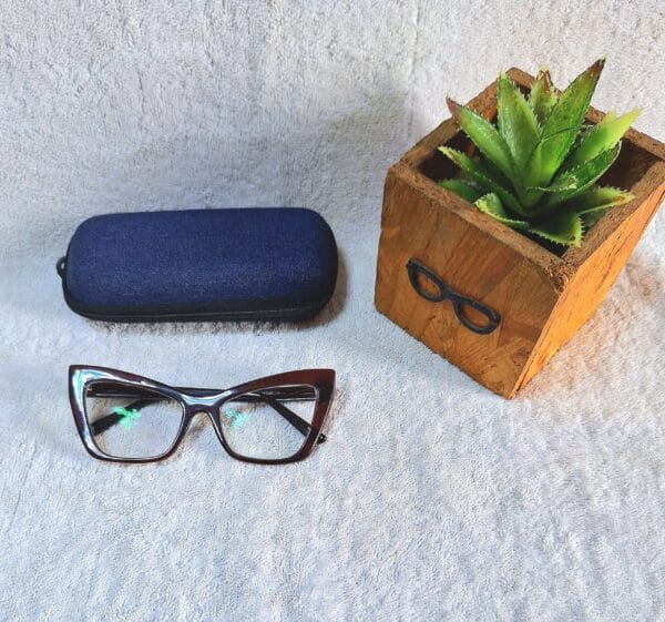 Bifocal Photochromic Glasses