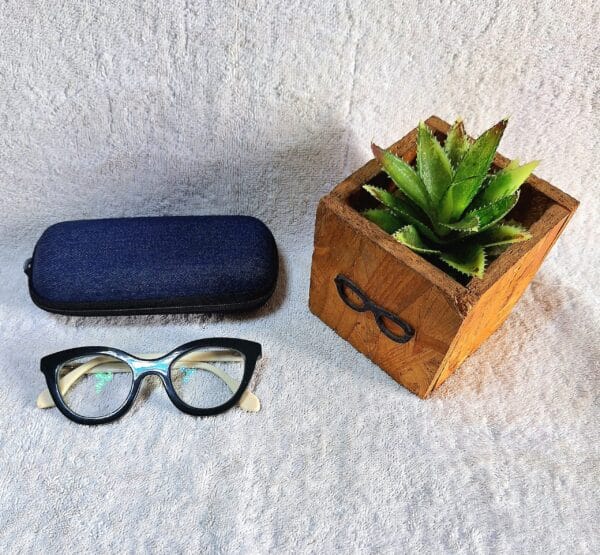 Bifocal Photochromic Glasses