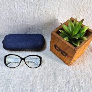 Bifocal Photochromic Glasses