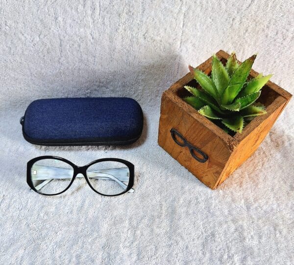 Bifocal Photochromic Glasses