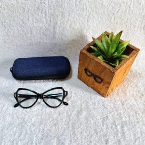 Bifocal Photochromic Glasses