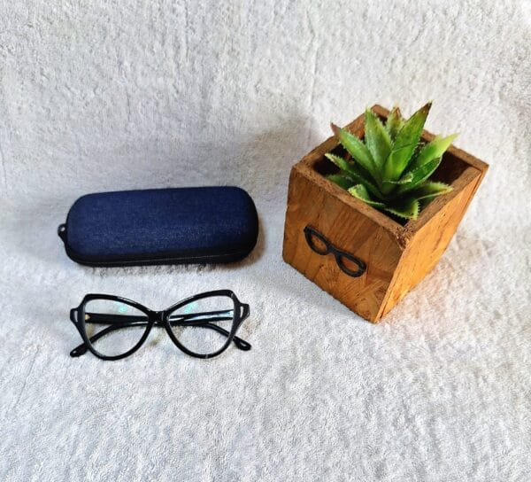 Bifocal Photochromic Glasses