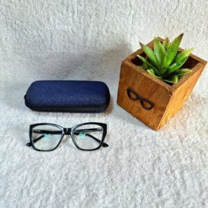 Bifocal Photochromic Glasses
