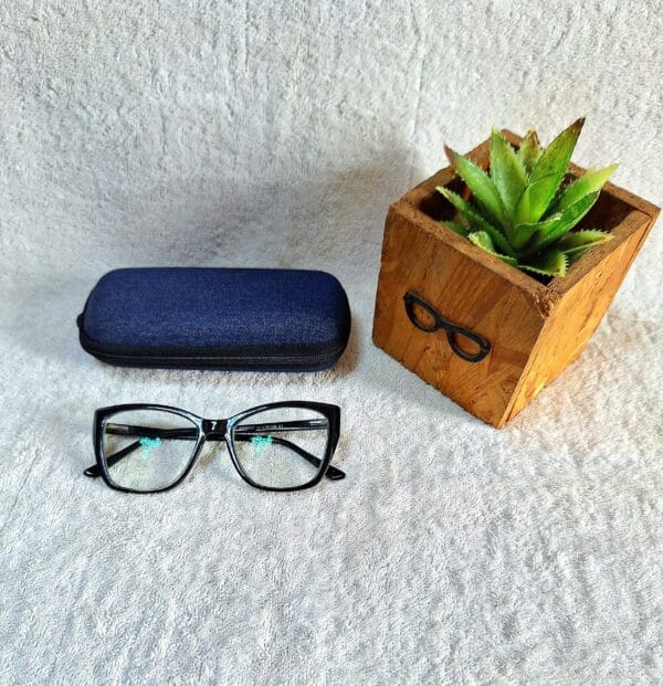 Bifocal Photochromic Glasses