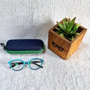 Bifocal Photochromic Glasses