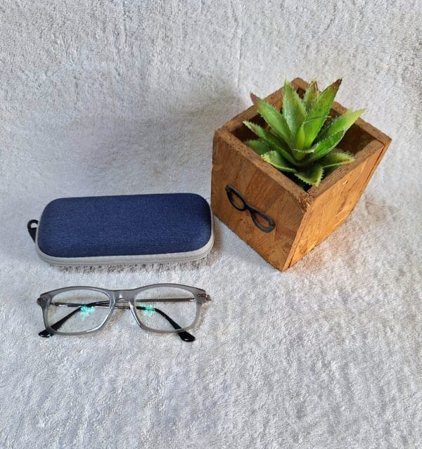 Bifocal Photochromic Glasses