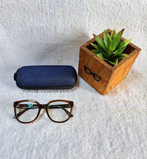 Bifocal Photochromic Glasses