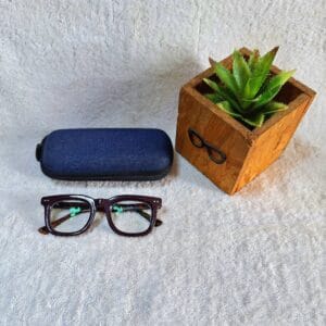 Bifocal Photochromic Glasses