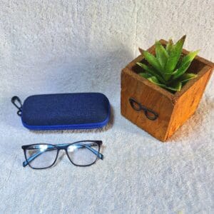 Bifocal Photochromic Glasses