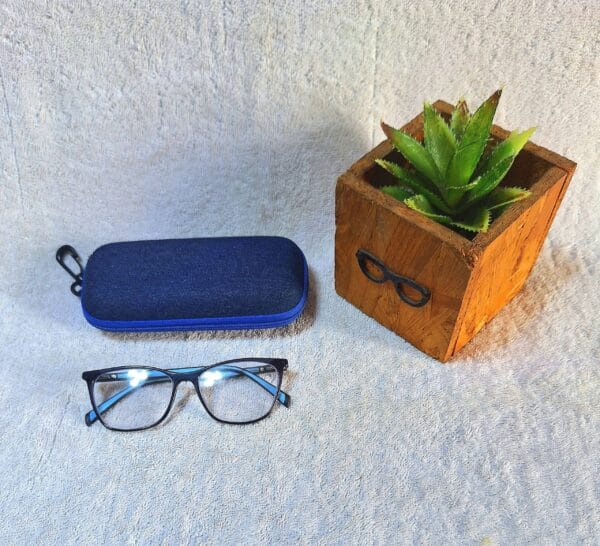 Bifocal Photochromic Glasses