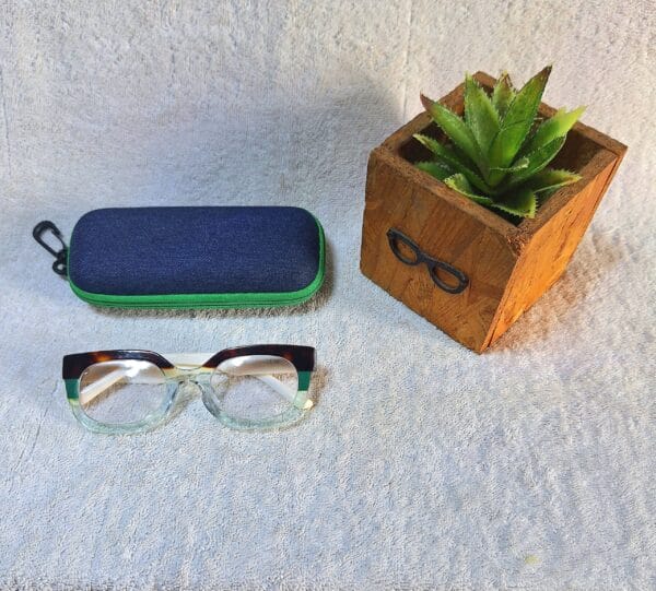 Bifocal Photochromic Glasses