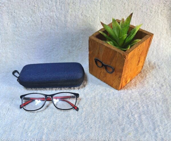 Bifocal Photochromic Glasses