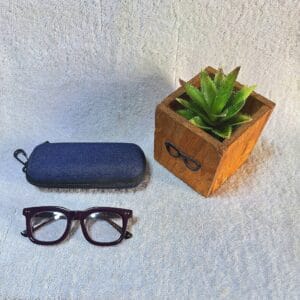 Bifocal Photochromic Glasses