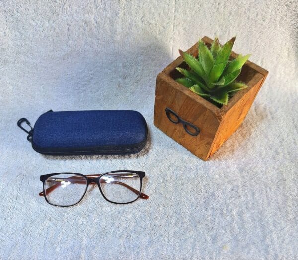 Bifocal Photochromic Glasses