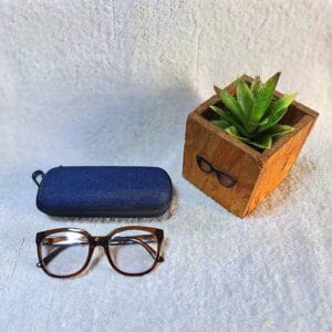 Bifocal Photochromic Glasses
